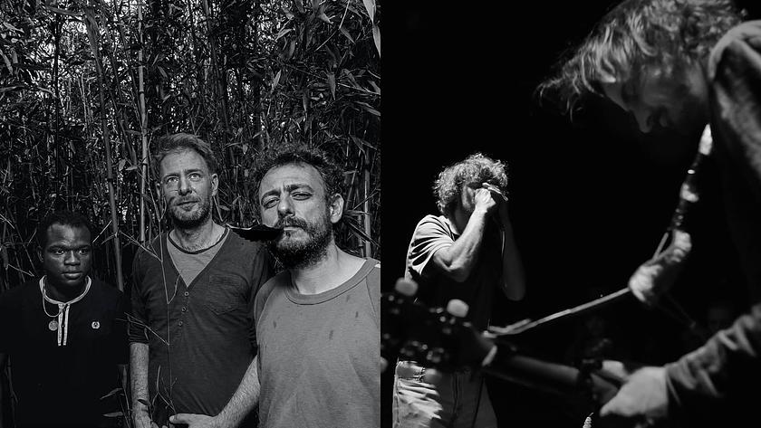 Avalanche Kaito (bf/be), Cantenac Dagar (fr)