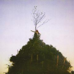 die ganze platte: Black to Comm - Alphabet 1968/CELLULE 75