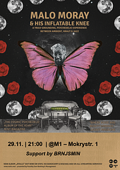 MALO MORAY - EMBRACE Tour 2024 (Ambient/Kraut/Jazz) - Support by BRNJSMIN