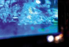 Re:Fokus: Ms. Axint – „Phase Shifting“