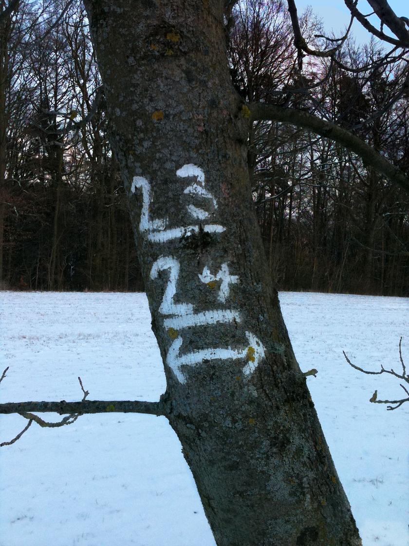 Rückwärts vorwärts seitwärts ran