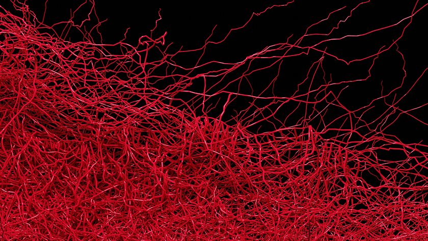 Büro für problematischen Komposition – Super Human