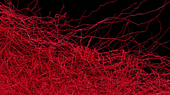 Büro für problematischen Komposition – Super Human