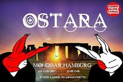 THDN + Markus Pluppins live im Gängeviertel