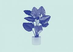 Eröffnung + Künstlergespräche: Radikal Unsichtbar - ACT5: NOMENRATURE