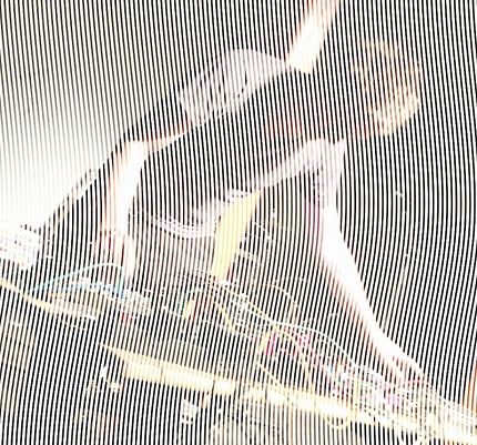 Difficult Music: David Wallraf Live