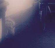 Schüddekopf/Arques/Mayer/Wendling + SCHWALL