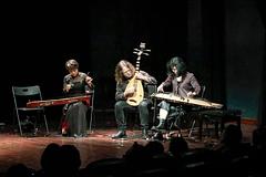 Traditionelle Musik – Die sanfte Berührung der vietnamesischen Kultur