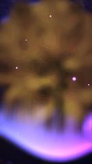 WIRKLICHKEIT UND TRAUM