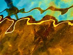 HERING IM TREPPENHAUS