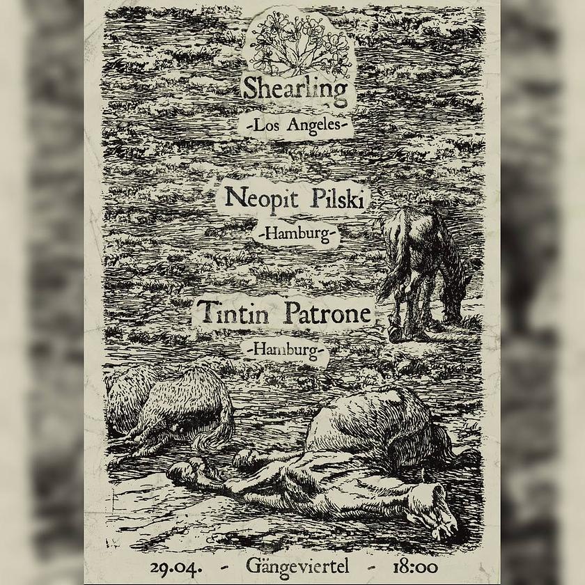 Shearling & Tintin Patrone & Neopit Pilski