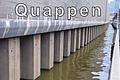 Quappen