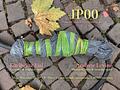 IP00 - Andrew Levine & Karlheinz Essl